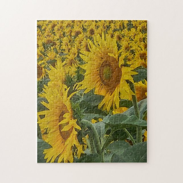 Quebra-cabeça Girassóis Bronzeados, 28 cm x 35,5 c (Vertical)