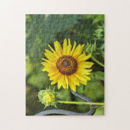 Quebra-cabeça Girassol