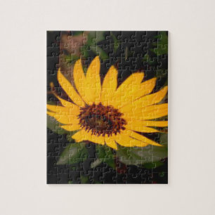 Quebra-cabeça Girassol Amarelo bonito