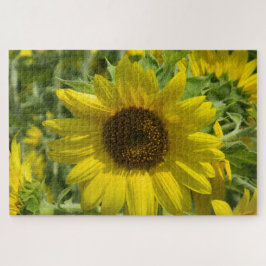 Quebra-cabeça Girassol Dourado