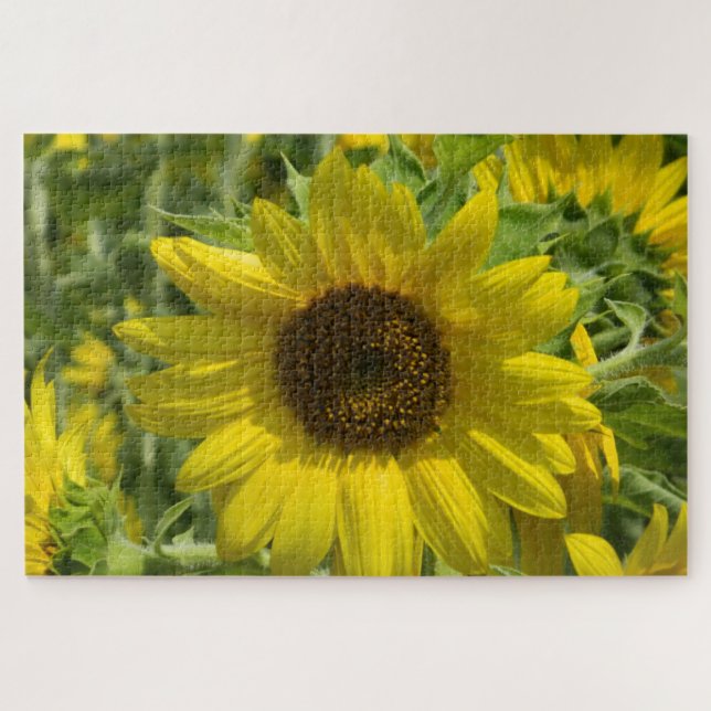 Quebra-cabeça Girassol Dourado (Horizontal)