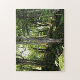 Quebra-cabeça Glade Sunny. Barragens solares no cenário da flore