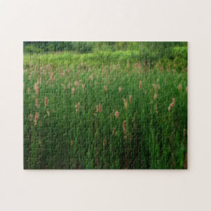 Quebra-cabeça Glândula De Fluffy Cattails Efeito Orton