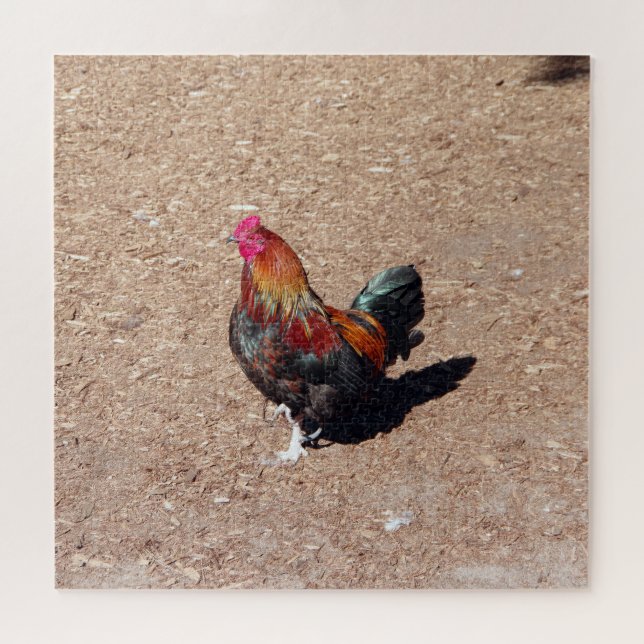 Quebra-cabeça Gold Cockerel Rooster jigsaw puzzle (Horizontal)