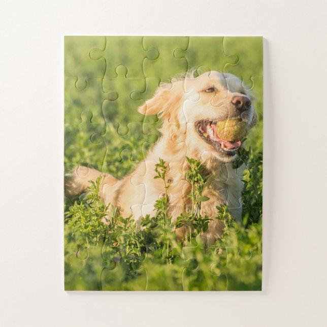 Quebra-cabeça Golden Retriever com Bola (Vertical)