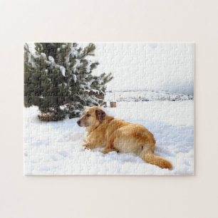 Quebra-cabeça Golden retriever no país das maravilhas do invern