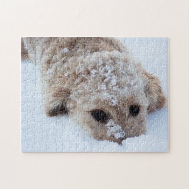 Quebra-cabeça Goldendoodle Com Nariz Na Neve (Horizontal)