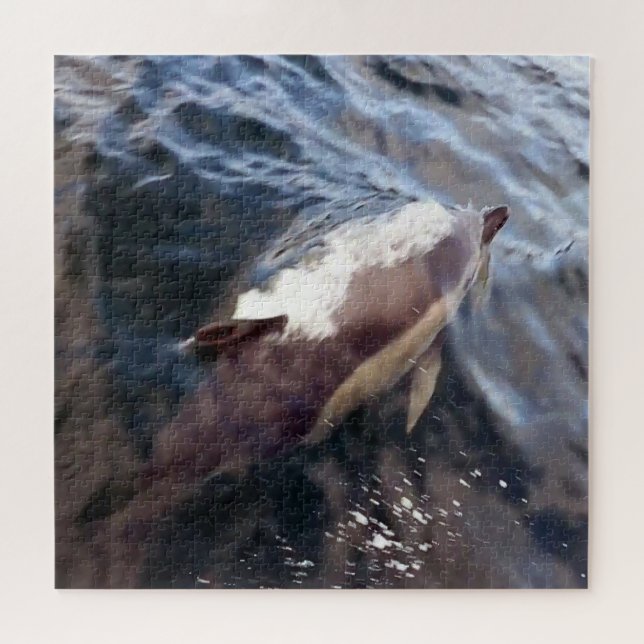 Quebra-cabeça Golfinho Comum Emergindo Vida Marinha Oceano Azul (Horizontal)