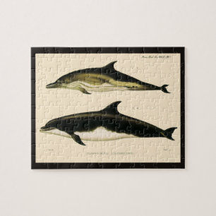 Quebra-cabeça Golfinhos Vintage, Animais Mamíferos Marinhos