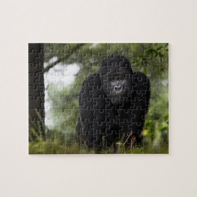 Quebra-cabeça Gorila da Montanha e Silverback (Horizontal)