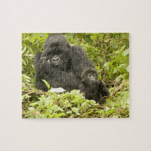 Quebra-cabeça Gorila-da-montanha, Gorilla beringei (anteriorment