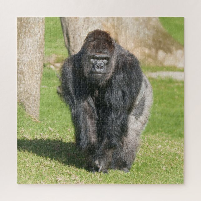 Quebra-cabeça Gorila Silverback – Um Momento de Poder (Vertical)