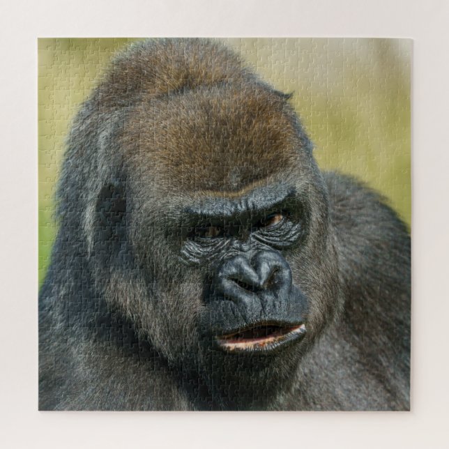 Quebra-cabeça Gorilla Madre (Vertical)