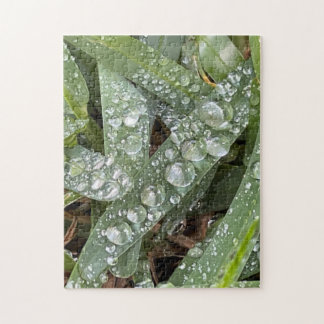 Quebra-cabeça Gotas de água na grama