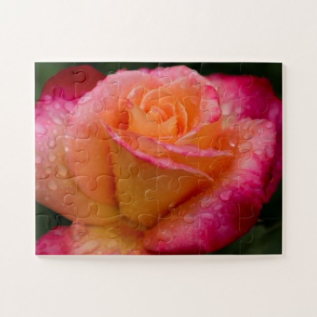 Quebra-cabeça Gotas de chuva nos Rosas 11x14 fáceis (Horizontal)