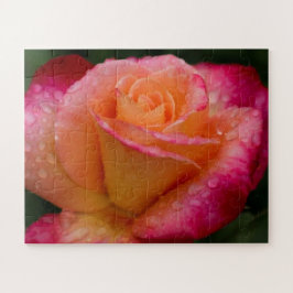 Quebra-cabeça Gotas de chuva nos Rosas 16x20 fáceis