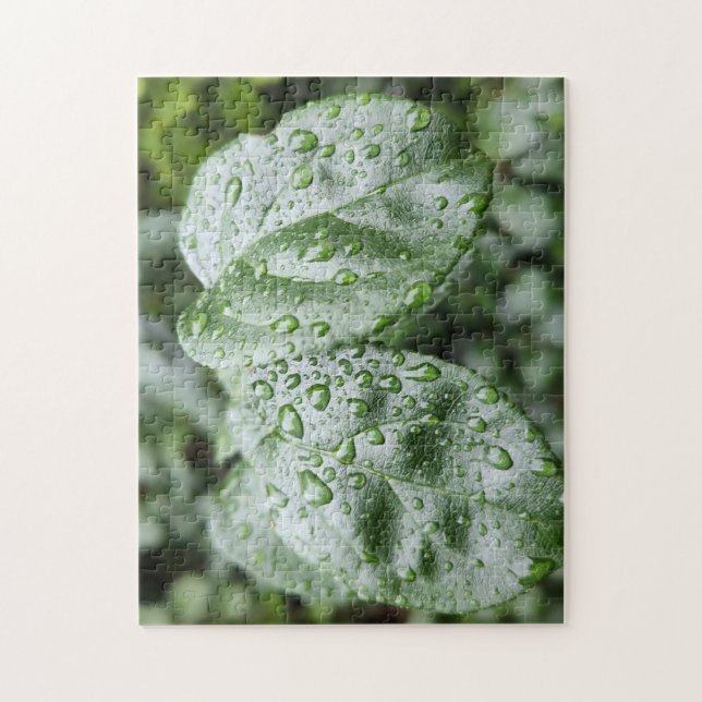 Quebra-cabeça Gotículas de Chuva em Folhas Verde Escuro (Vertical)