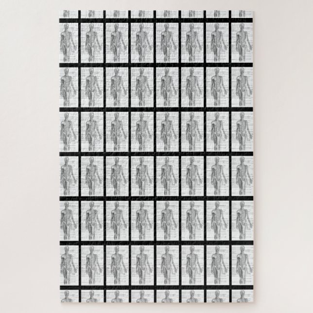 Quebra-cabeça Gráficos Médicos da Anatomia Humana (Vertical)
