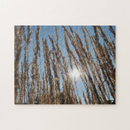 Quebra-cabeça Grain Corn Field Harvest Sun Foto De Fazenda Lente