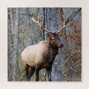 Quebra-cabeça Grande caçador de jogos - Bull Elk - 20x20 polega