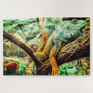 Quebra-cabeça Grande Iguana