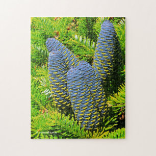 Quebra-cabeça Grandes Cones Azul-Coreanos