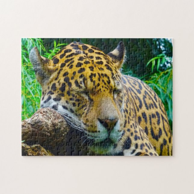 Quebra-cabeça Grandes Felinos Jaguar. (Horizontal)