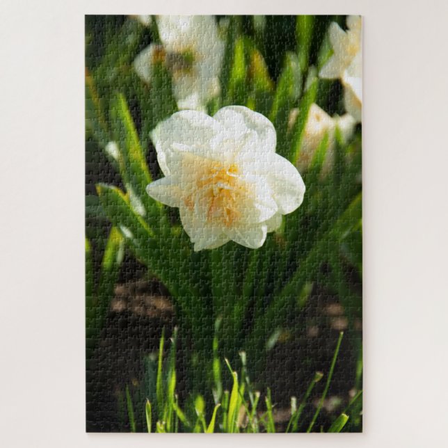 Quebra-cabeça Grandes narcisos brancos em um dia de primavera  (Vertical)
