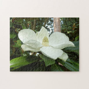 Quebra-cabeça Grandiflora da foto da magnólia co