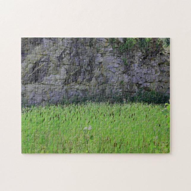 Quebra-cabeça Granite Quarry Rock Cliff Wall Cattails Nature (Horizontal)
