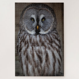 Quebra-cabeça Great Grey Owl Standing Alone
