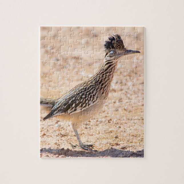 Quebra-cabeça Greater Roadrunner Portrait (Vertical)