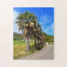 Grécia Palm Trees Zakynthos