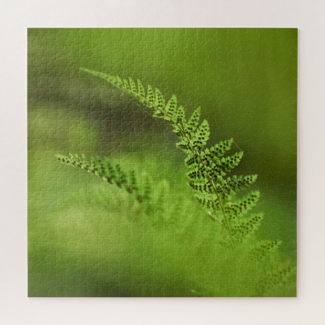 Quebra-cabeça Green Fern Frond Floral Nature Foto (Horizontal)