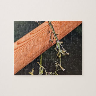 Quebra-cabeça Greenland Paddle Puzzle