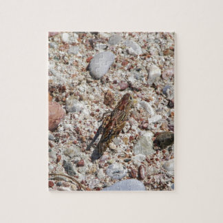 Quebra-cabeça Grilo de Jiminy