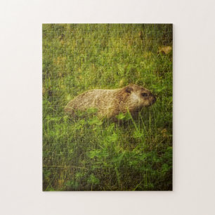 Quebra-cabeça Groundhog num campo