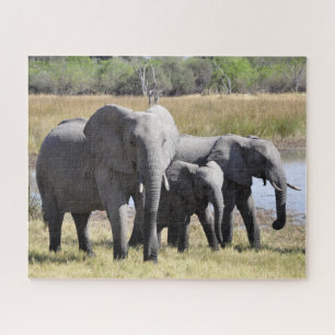 Quebra-cabeça Grupo de Elefantes Africanos em Frente ao Buraco d