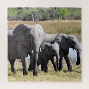 Quebra-cabeça Grupo de Elefantes Africanos em Frente ao Buraco d