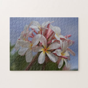Quebra-cabeça Grupo do Plumeria