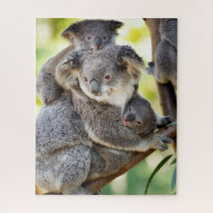 Quebra-cabeça Grupo Familiar Super Cute Koala Wildlife