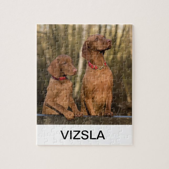 Quebra-cabeça grupo vizsla (Vertical)