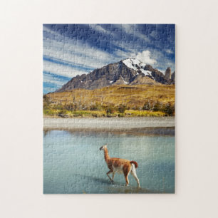 Quebra-cabeça Guanaco que cruza o rio em Torres del Paine