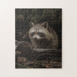 Quebra-cabeça Guaxinim Curioso Na Floresta Animal Jigsaw Puzzle
