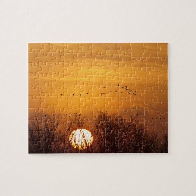 Quebra-cabeça guindastes-sanduíche silenciados contra o sol-asce (Horizontal)