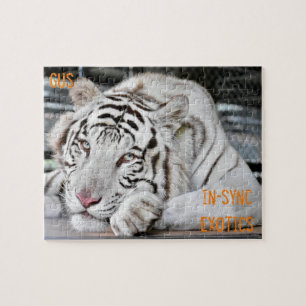 Quebra-cabeça Gus -