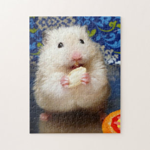 Quebra-cabeça Hamster sírio macio Kokolinka que come uma sement