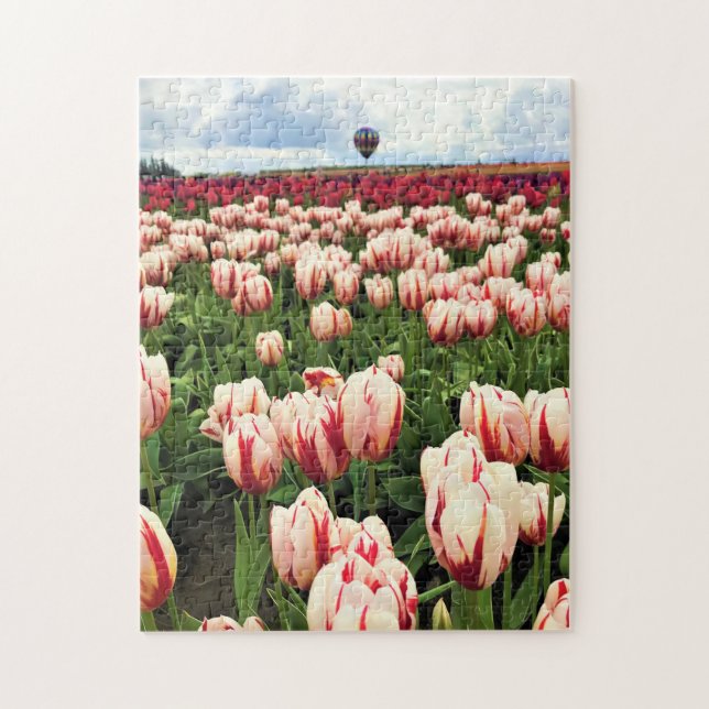 Quebra-cabeça Happy Generation Tulip Field, Oregon (Vertical)