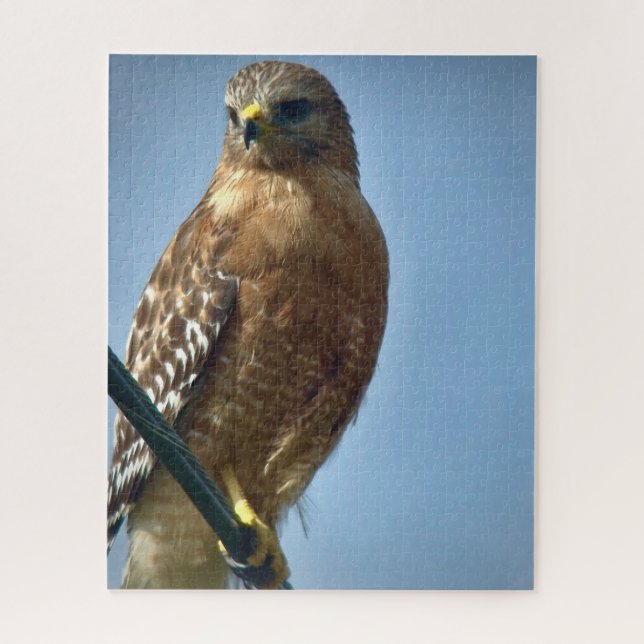 Quebra-cabeça Hawk de ombros vermelhos (Vertical)