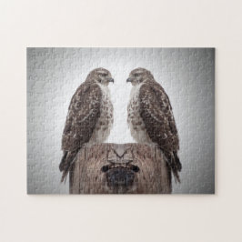 Quebra-cabeça Hawks em um posto